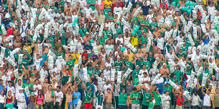 Sports fans chanting in a stadium.