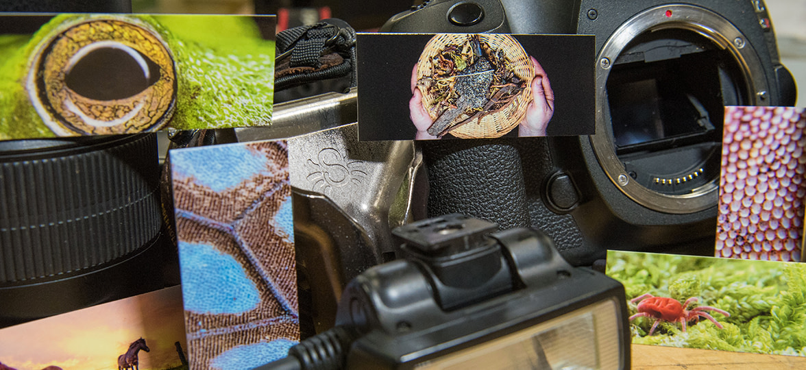 National Geographic photo business cards