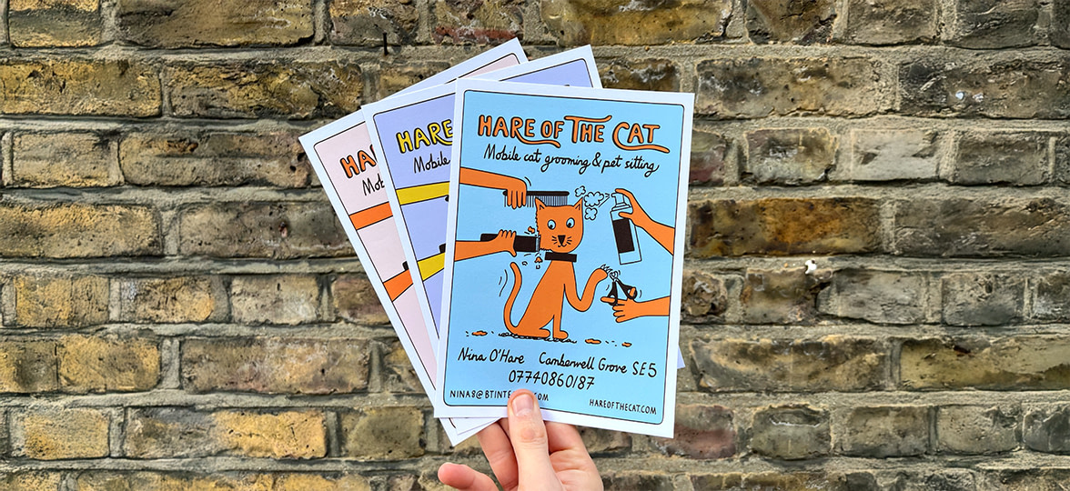 Hare of the cat blog hero