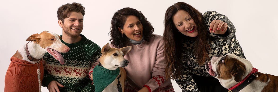 Christmas jumpers and dogs
