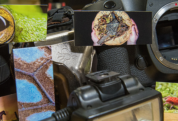 National Geographic photo business cards