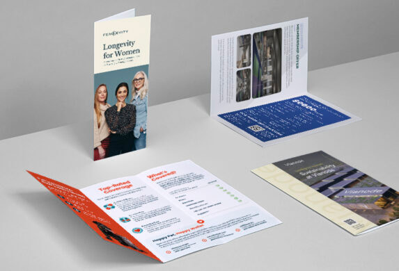 Business and Company Brochure Examples we've seen recently.