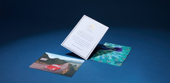 3 postcards including one red beetle illustrated postcard, one card with text and the McBride Sisters crest in gold foil, and one card with an illustration of a peacock with an afro