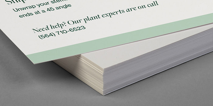 MOO Eco paper for bulk printing Flyers and Postcards