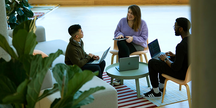 MOOsters having a meeting at the office.