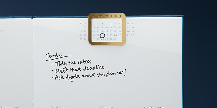 A photograph of a Perpetual Planner