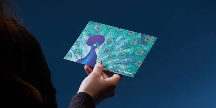 Hand holding a postcard with an illustration of a peacock with an afro