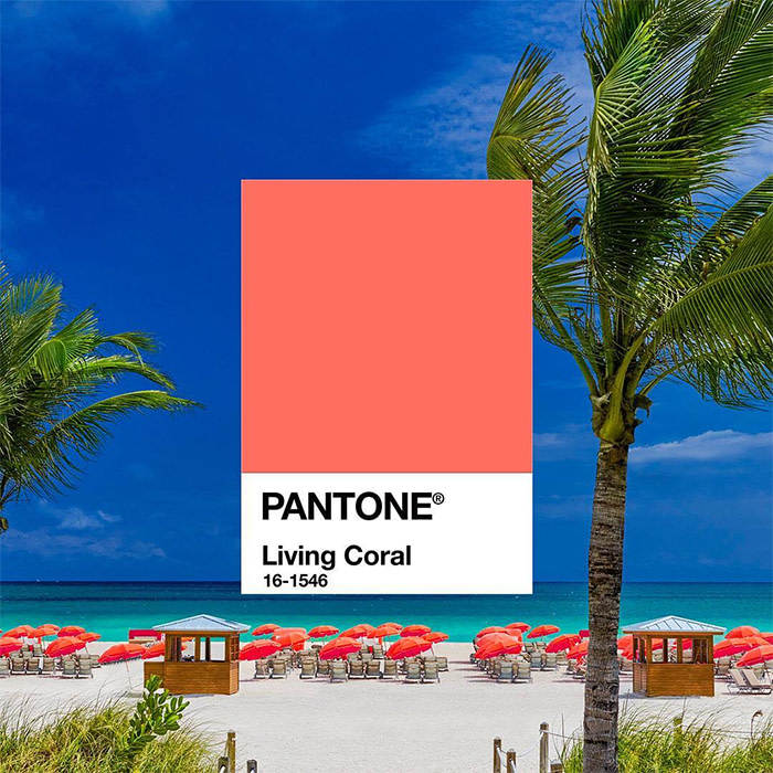 MOO Blog | Pantone Colour of the Year 2019: Living Coral