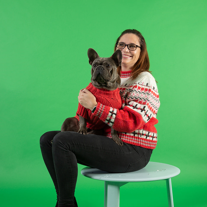 Meet the MOOdogs: A festive dogumentary - MOO Blog