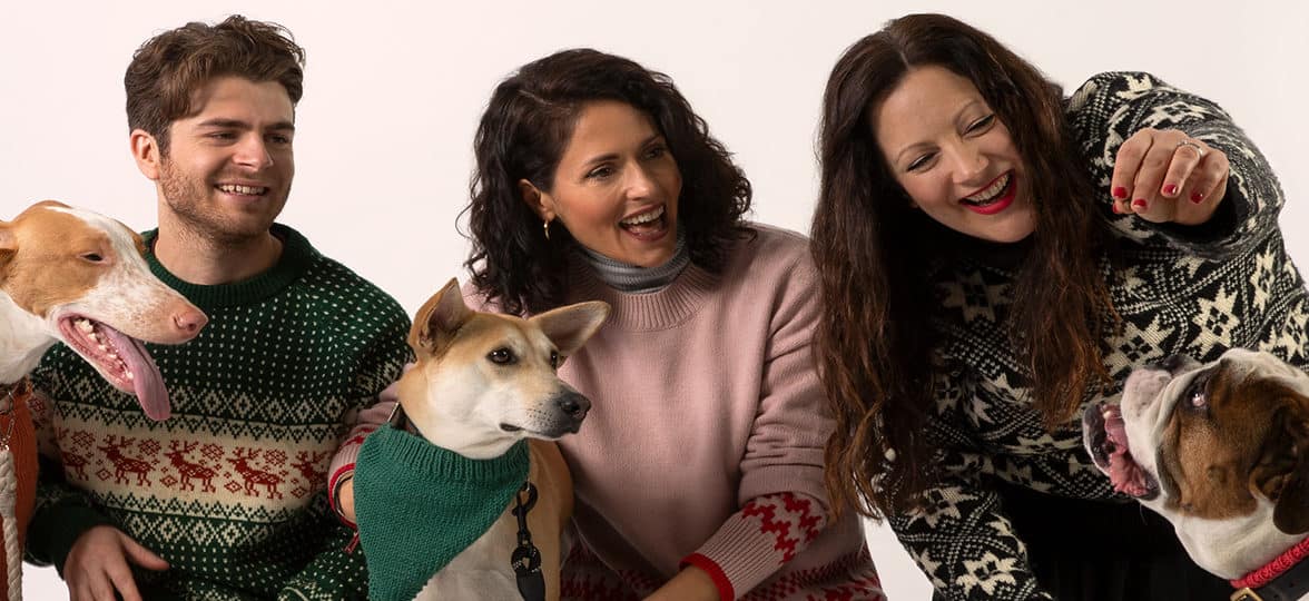 Christmas jumpers and dogs