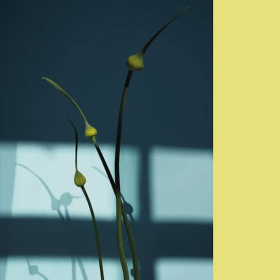 Marc Provins photography
