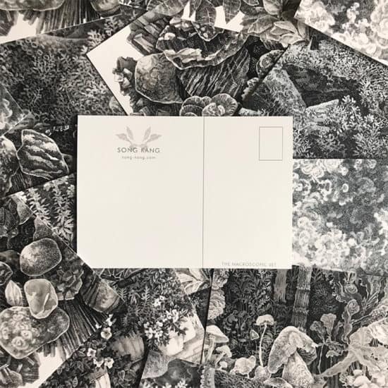 Song Kang postcard