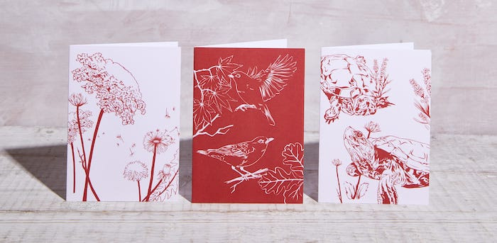 3 greeting cards by Ashley Minner