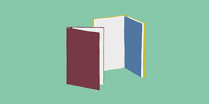 Illustration of 2 MOO Hardcover Notebooks by artist Söber from soberlandart