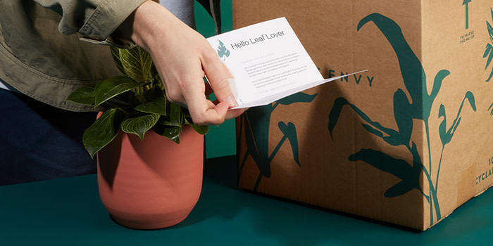 House plant and hand holding an illustrated care card by Leaf Envy while opening a box from them