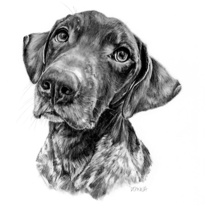 Dog portrait by pet portrait artist Deanna Lee