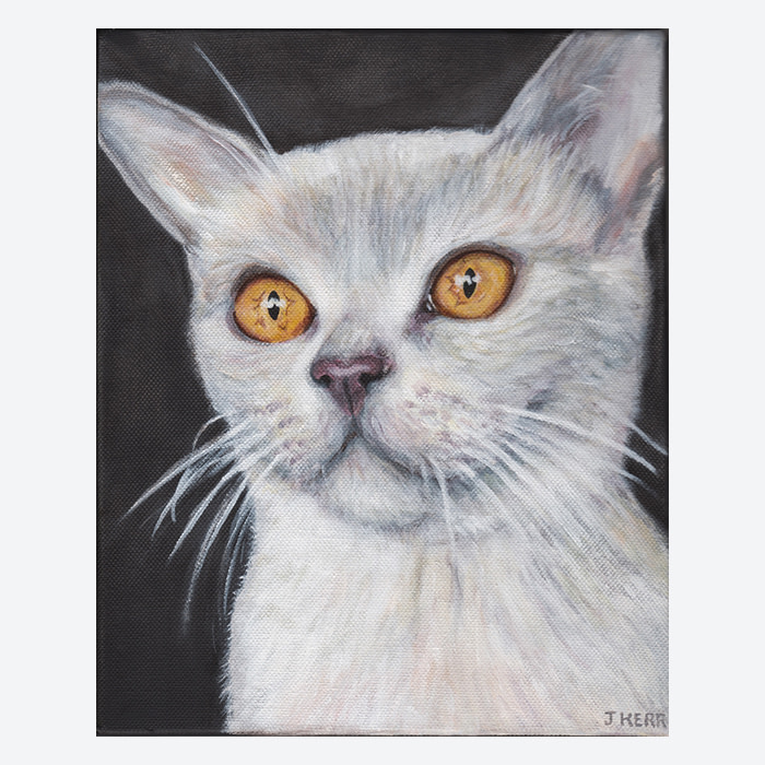 Cat portrait by pet portrait artist Jess Kerr