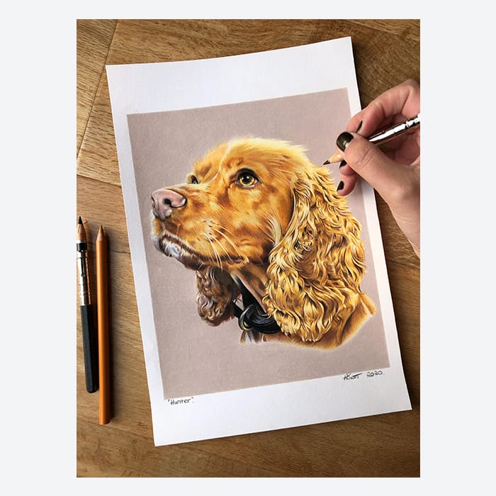 Dog portrait by Hayley Smith